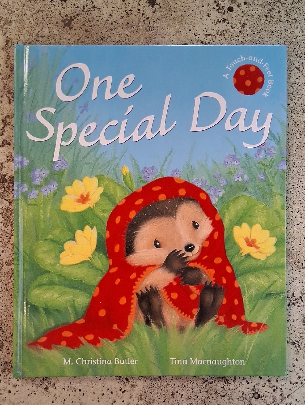One Special Day By M Christina Butler Children's Touch And Feel Picture Book